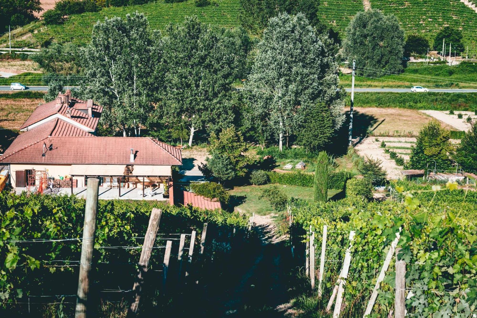 Agriturismo Dacapo Agliano Terme Dış mekan fotoğraf